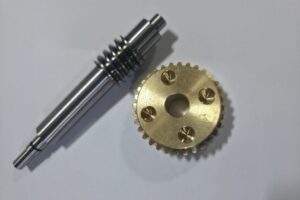 Worm and worm wheel